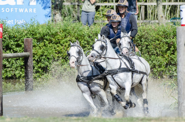 b2ap3_medium_CCC_8353 WK ponymennen 2023 bij Steenhof Stables te Oirschot