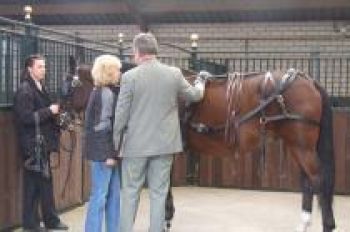 Koetsiersbewijs_Examen_Foto_1-2d38add6 Examen | Steenhof Stables