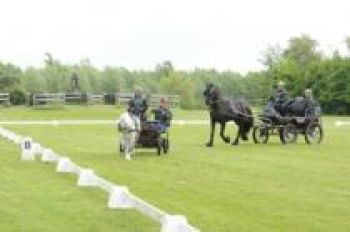 Koetsiersbewijs_Enkelspan_Foto_4-b87f12b0 Enkelspan | Steenhof Stables