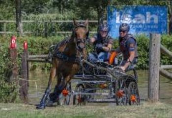 ISAH_pony_driving-c0003c7e Agenda | Steenhof Stables