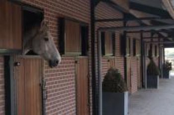 Pensionstalling_foto_2-d6130243 Pensionstallen paarden | Steenhof Stables
